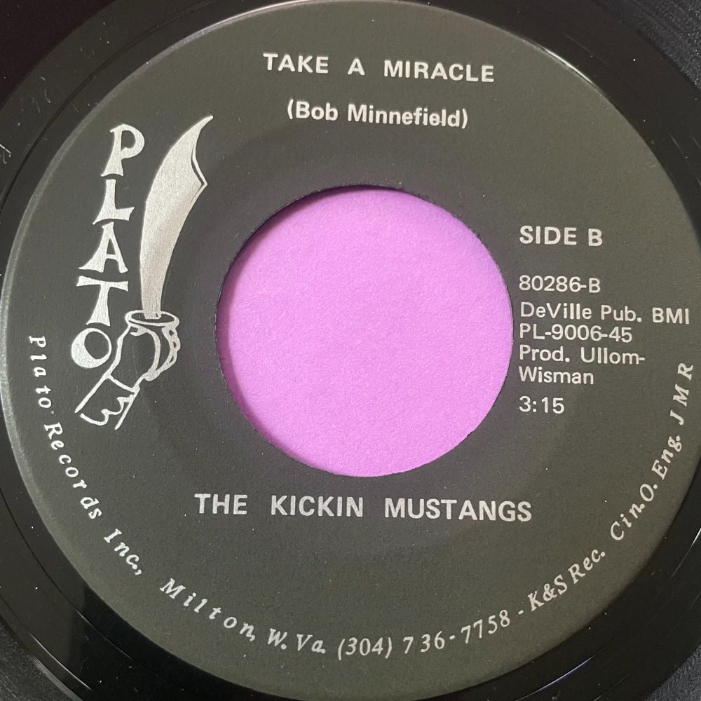 Kickin Mustangs-Take a miracle-Plato E+