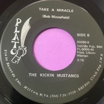 Kickin Mustangs-Take a miracle-Plato E+