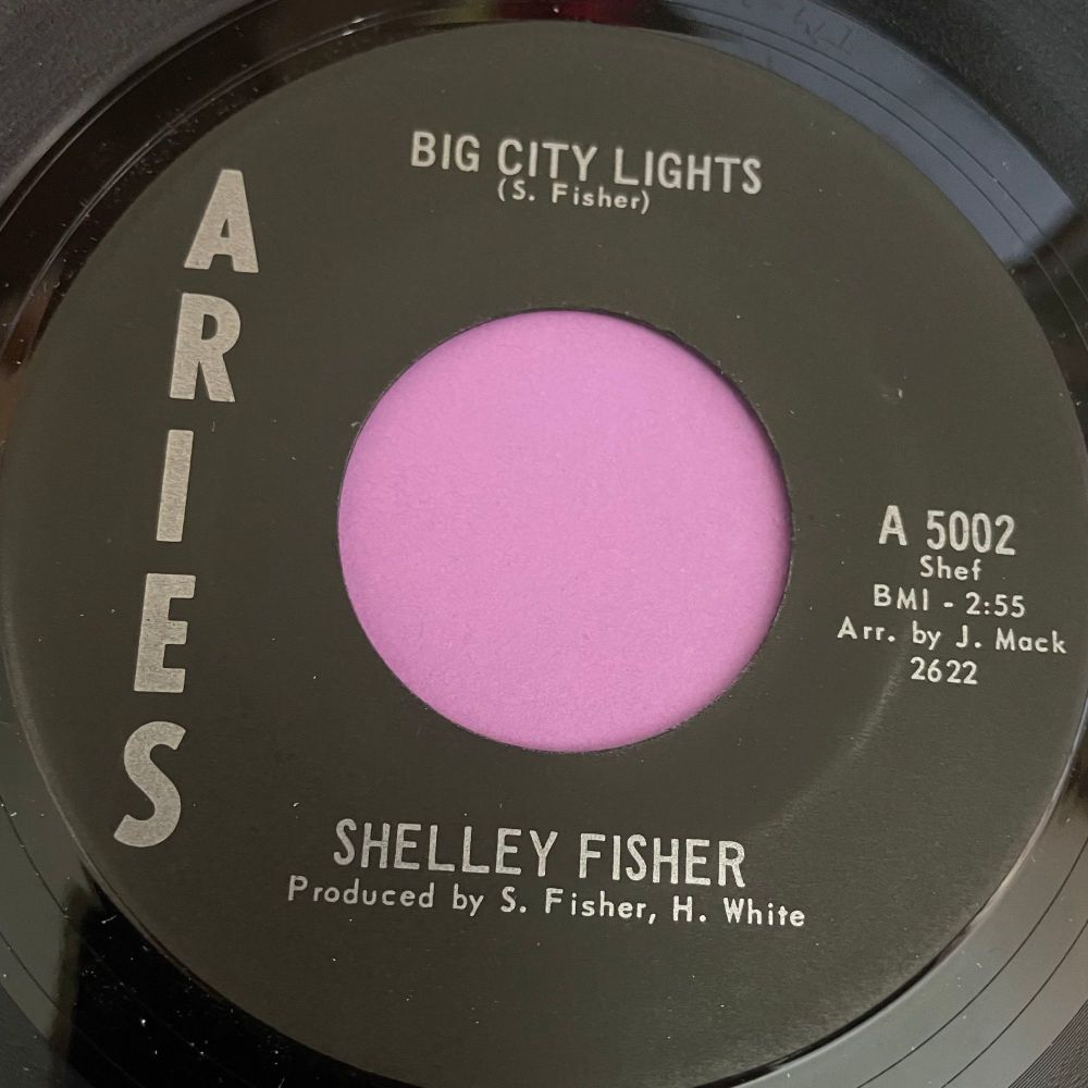 Shelley Fisher-Big city lights-Aries E+