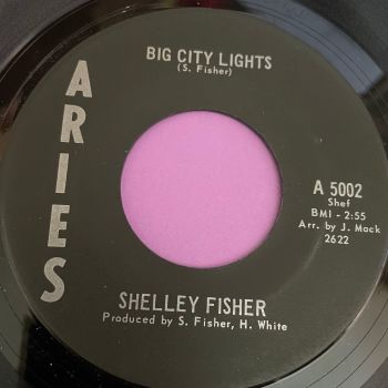 Shelley Fisher-Big city lights-Aries E+