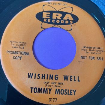 Tommy Mosley-Wishing well-Era E+
