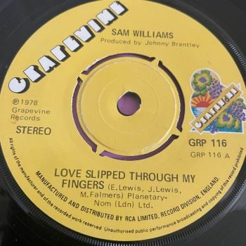 Sam Williams-Love slipped through my fingers-UK Grapevine E+
