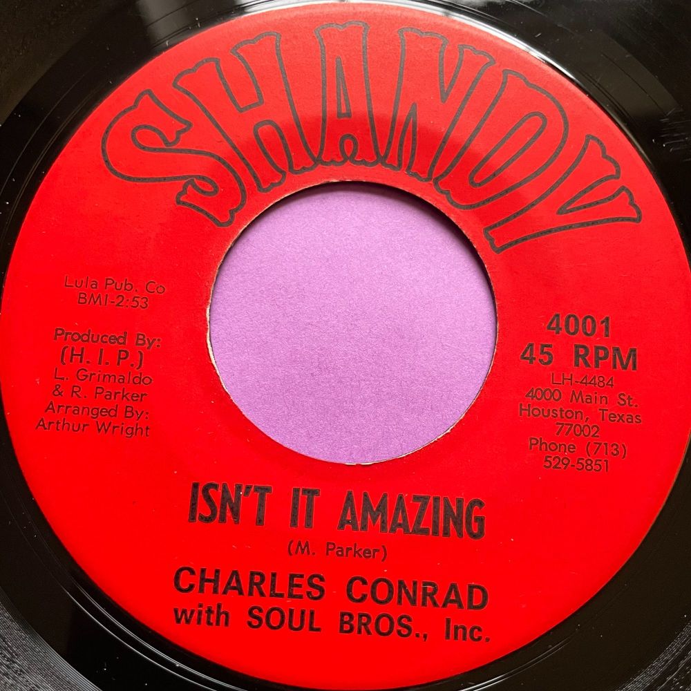 Charles Conrad-Isn't it amazing-Shandy E+