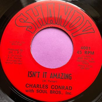 Charles Conrad-Isn't it amazing-Shandy E+