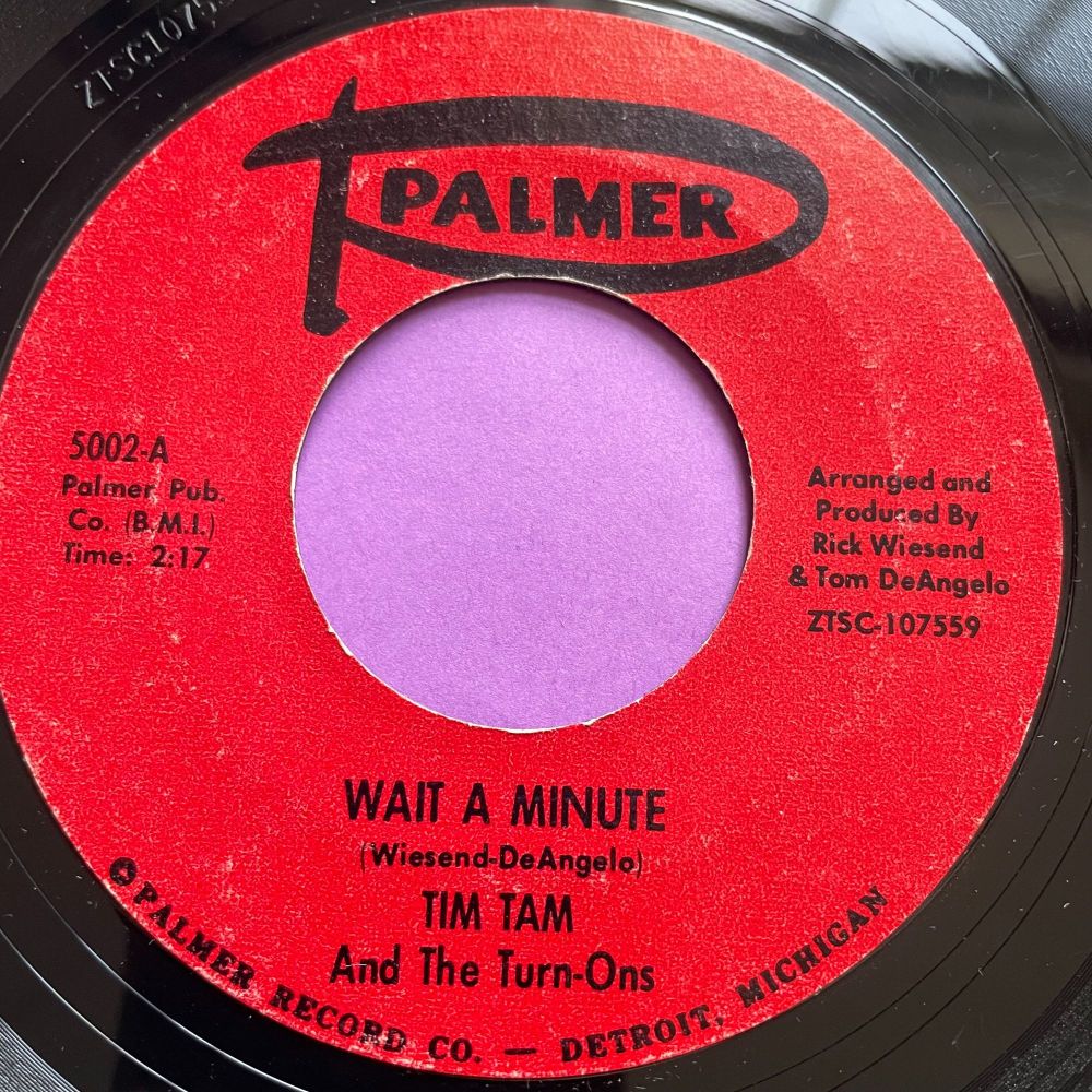 Tim Tam and the Turn-Ons-Wait a minute-Palmer E