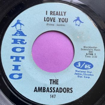 Ambassadors-I really love you-Arctic stkr E+