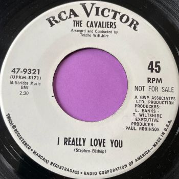 Cavaliers-I really love you-RCA WD E+