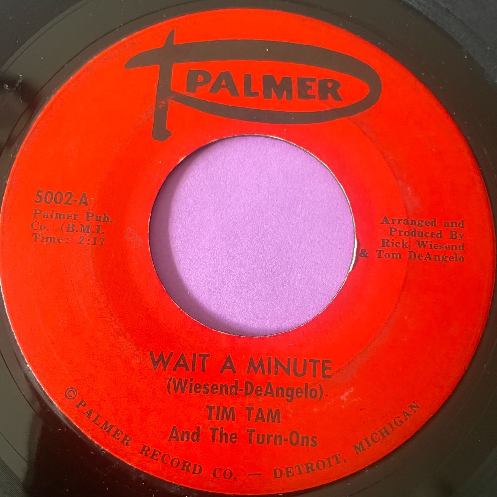Tim Tam and the Turn-ons-Wait a minute-Palmer E