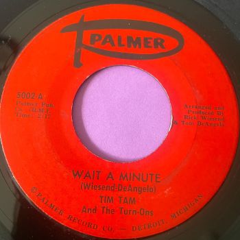 Tim Tam and the Turn-ons-Wait a minute-Palmer E