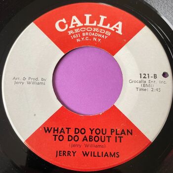 Jerry Williams-What do you plan to do about it-Calla vg+