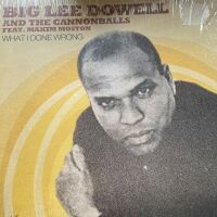 Big Lee Dowell-What did I do wrong-Cannonball 12" Single E+