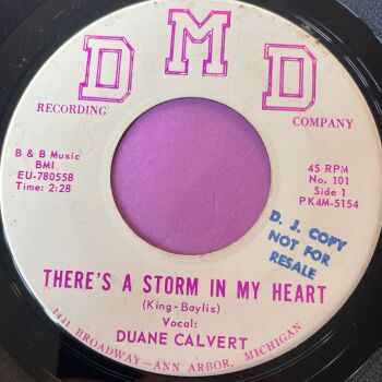 Duane Calvert-There's a storm in my heart-DMD E