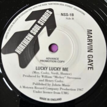 Marvin Gaye-Lucky lucky me-NSS  E+