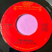 Taj Mahal-Ain't that a lot of love-CSP R E+