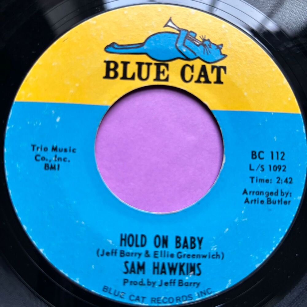 Sam Hawkins-Hold on baby-Blue Cat E+