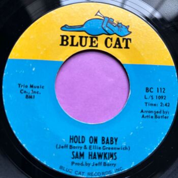 Sam Hawkins-Hold on baby-Blue Cat E+