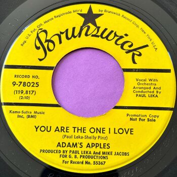 Adam's Apples-You are the one I love-Brunswick Demo E+