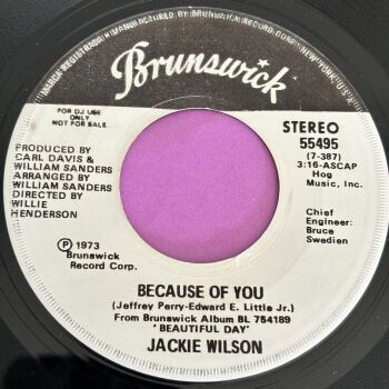 Jackie Wilson-Because of You-Brunswick WD E
