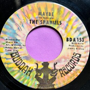 Spaniels-Maybe-Buddah vg+