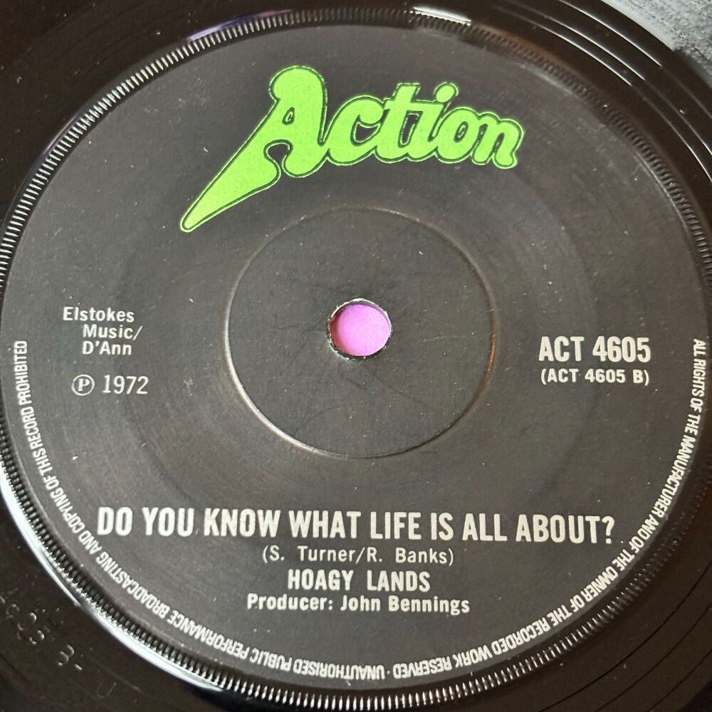 Hoagy Lands-Do you know what life is all about-UK Action E+