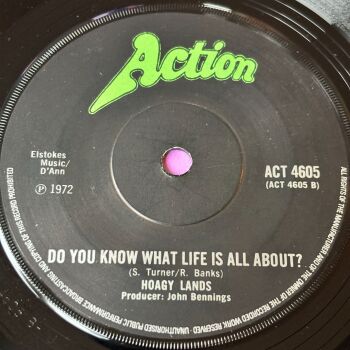 Hoagy Lands-Do you know what life is all about-UK Action E+