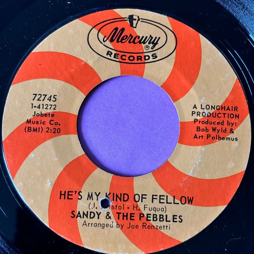 Sandy & the Pebbles-He's my kind of fellow-Mercury E+