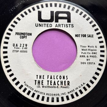 Falcons-The teacher-UA WD E+