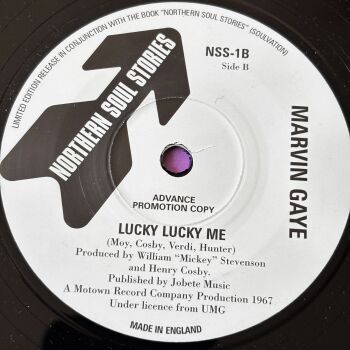 Marvin Gaye-Lucky lucky me-Stories E+