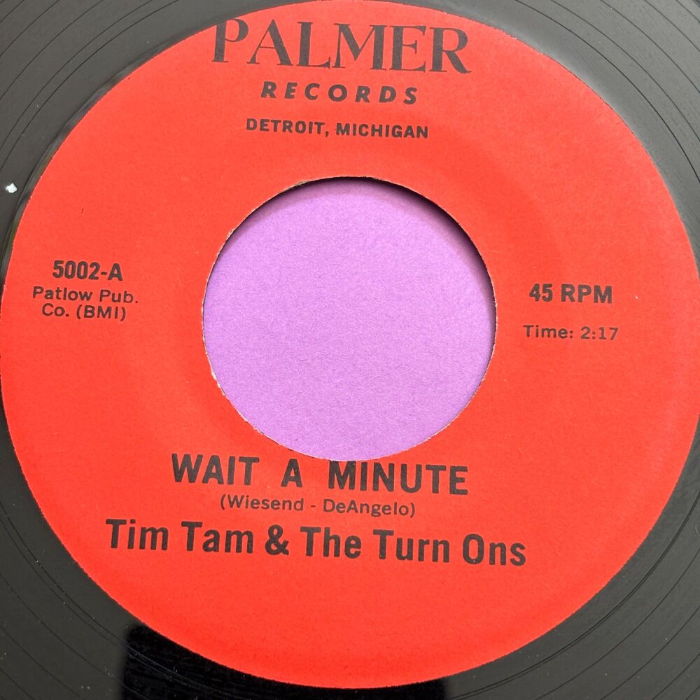 Tim Tam & The Turn Ons-Wait a minute-Palmer R E