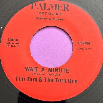 Tim Tam & The Turn Ons-Wait a minute-Palmer R E
