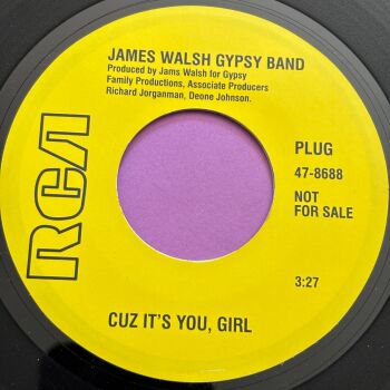 James Walsh-Cuz it's you girl-RCA R E+