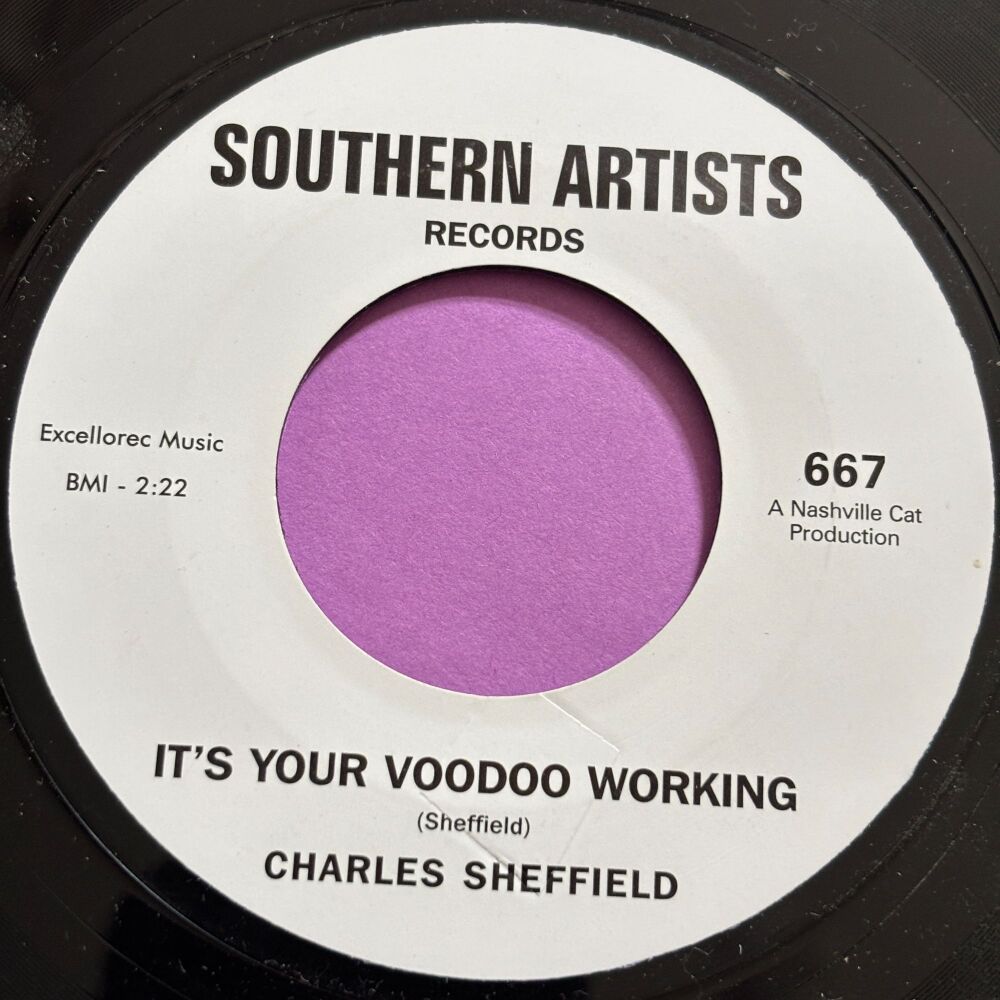 Charles Sheffield-It's your voodoo working-Southern Artists R M-