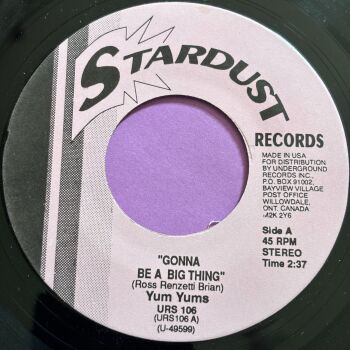 Yum Yums-Gonna be a big thing-Stardust R E+