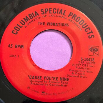 Vibrations-'Cause you're mine-CSP R E+