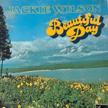 Jackie Wilson-Beautiful day-Brunswick DEMO LP E+