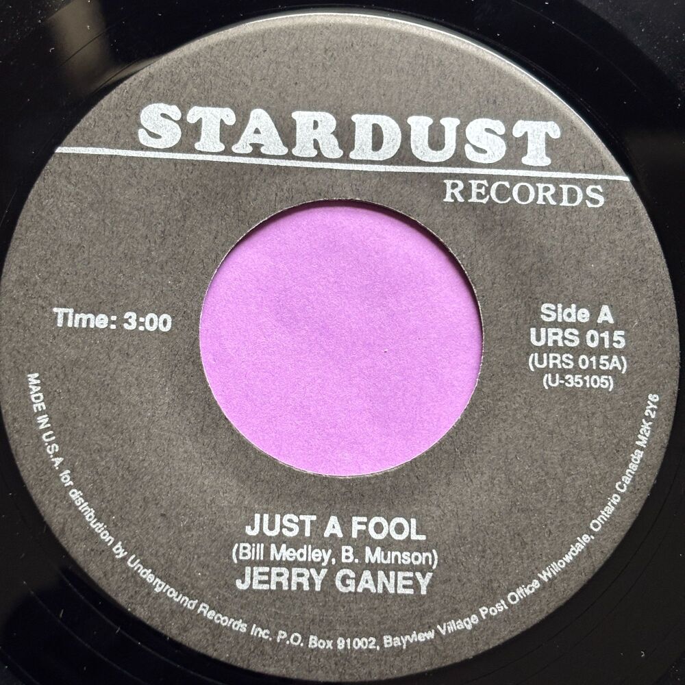 Jerry Ganey-Just a fool-Stardust E+
