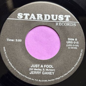 Jerry Ganey-Just a fool-Stardust E+