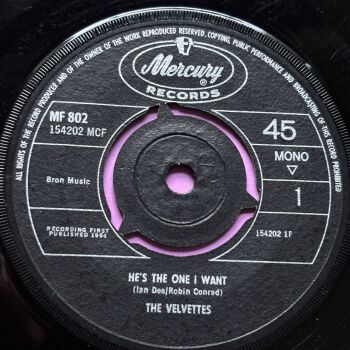 Velvets-He's the one I want-UK Mercury vg+