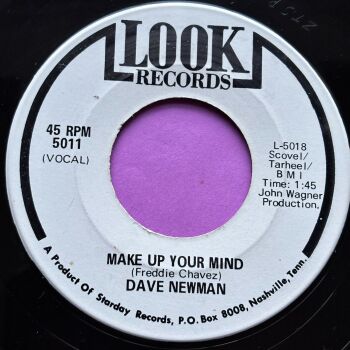 Dave Newman-Make up your mind-Look R E+