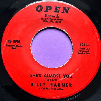 Billy Harner-She's almost you-Open R E+