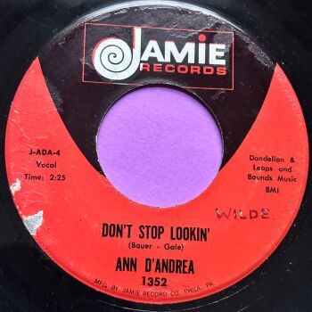 Ann D'Andrea-Don't stop lookin'-Jamie R LD wol E