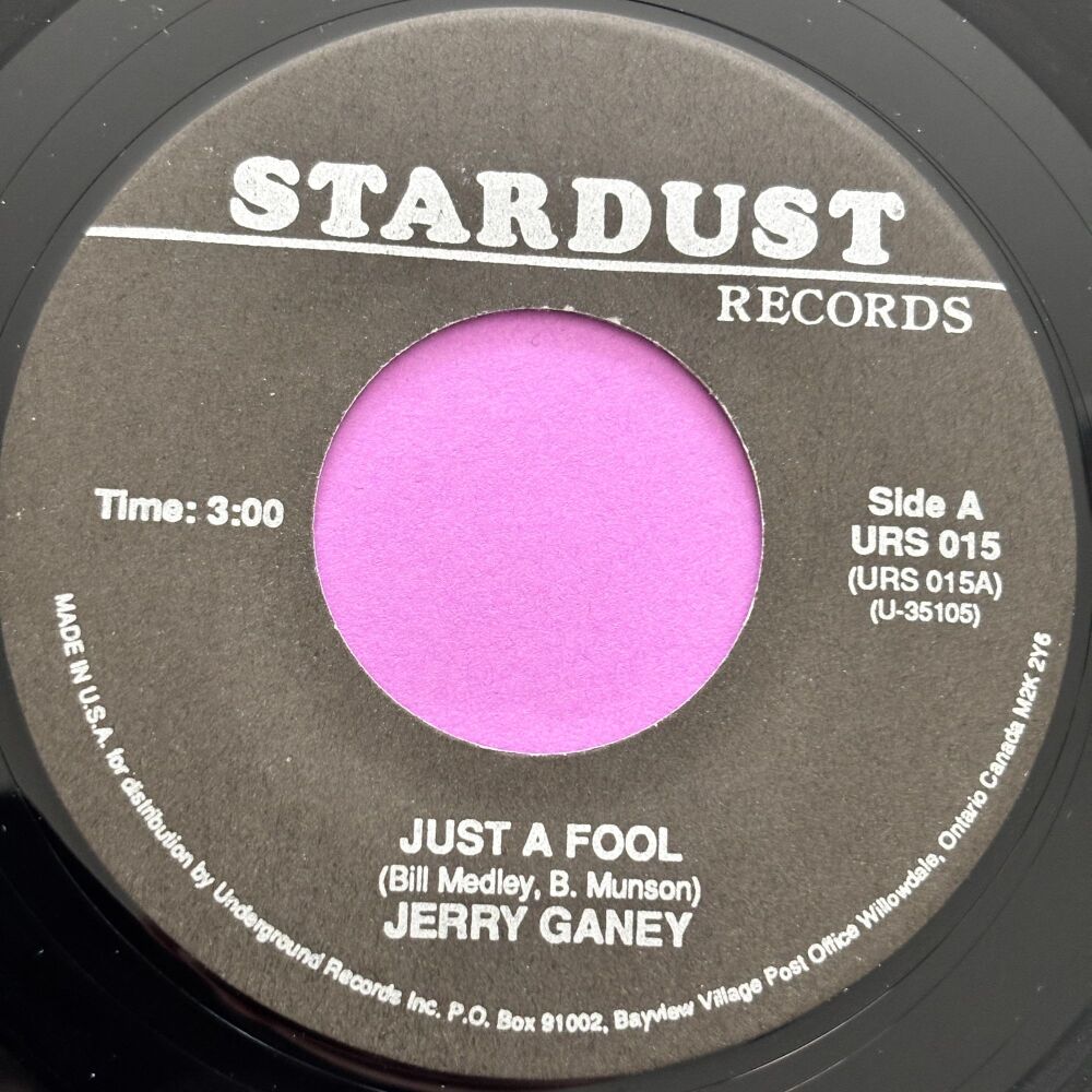 Jerry Ganey-Just a fool-Stardust R E+