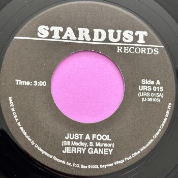 Jerry Ganey-Just a fool-Stardust R E+