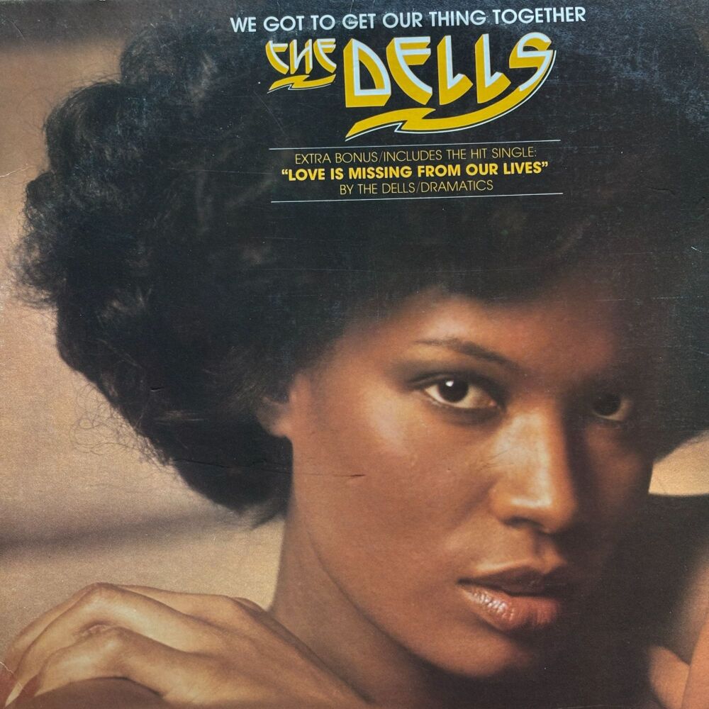 Dells-We got our thing together-Mercury LP E+