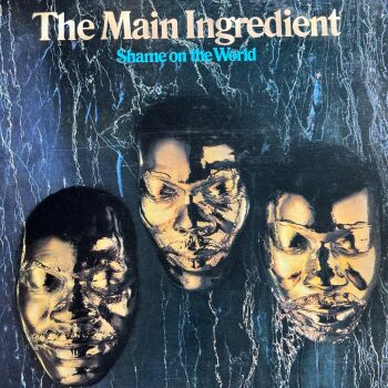 Main Ingredient-Shame on the world-RCA LP E+