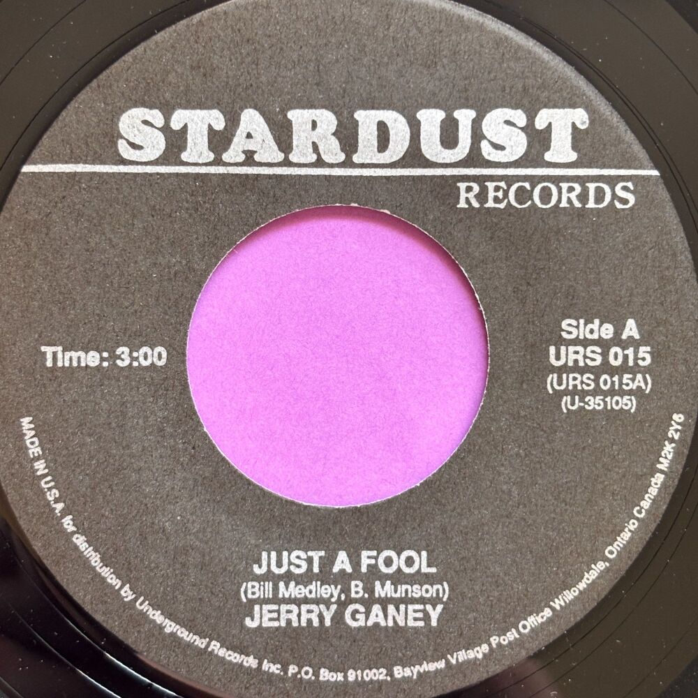 Jerry Ganey-Just a fool-Stardust R E+