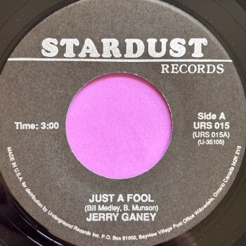 Jerry Ganey-Just a fool-Stardust R E+