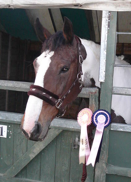 Pennys_Rossettes_Lincoln_2009