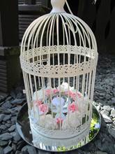 Bird cage pink/blue