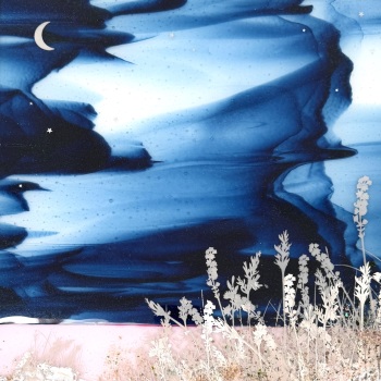 Moonlit Dip - glass artwork